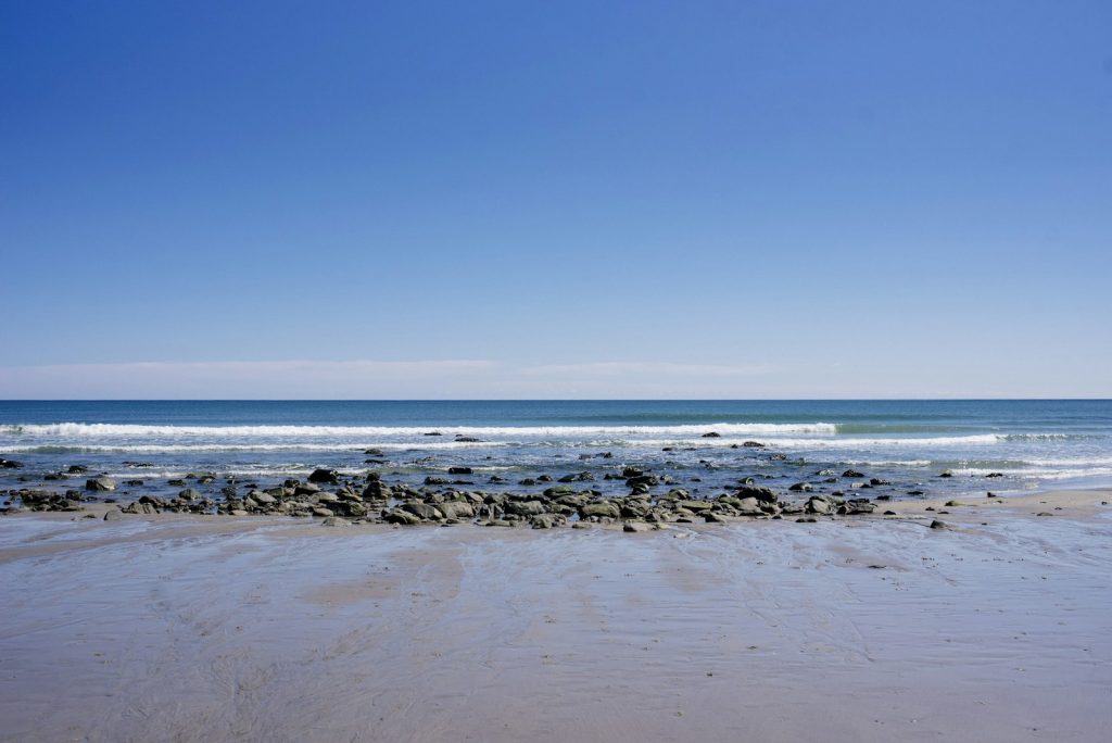 Hampton