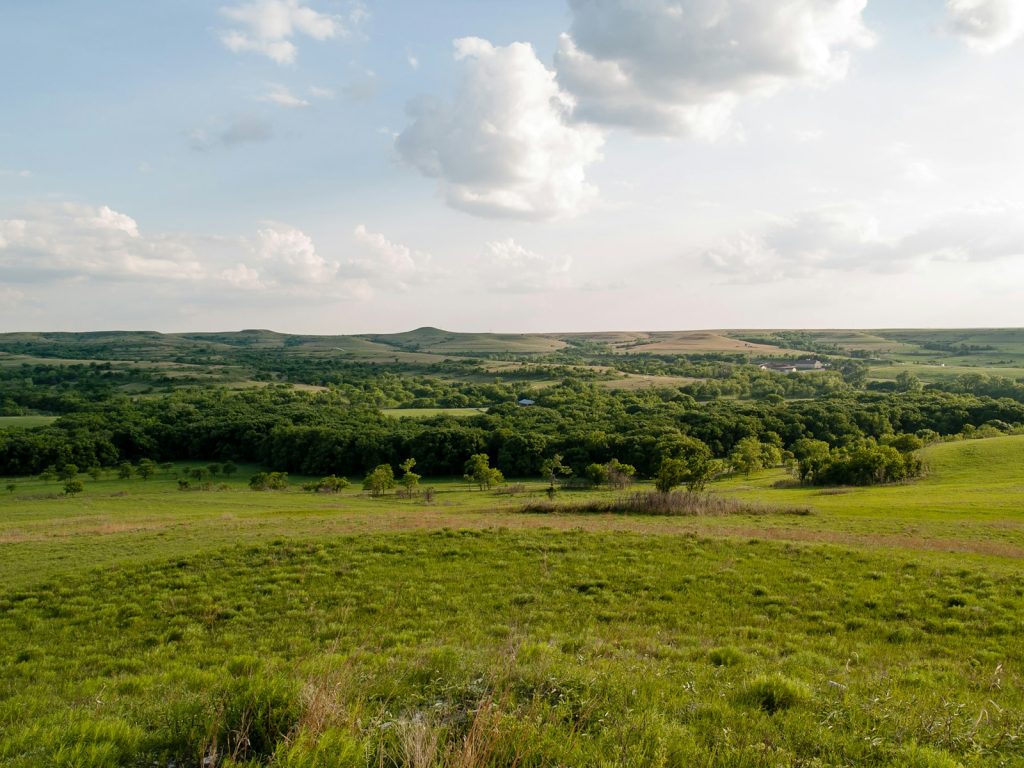 Olathe